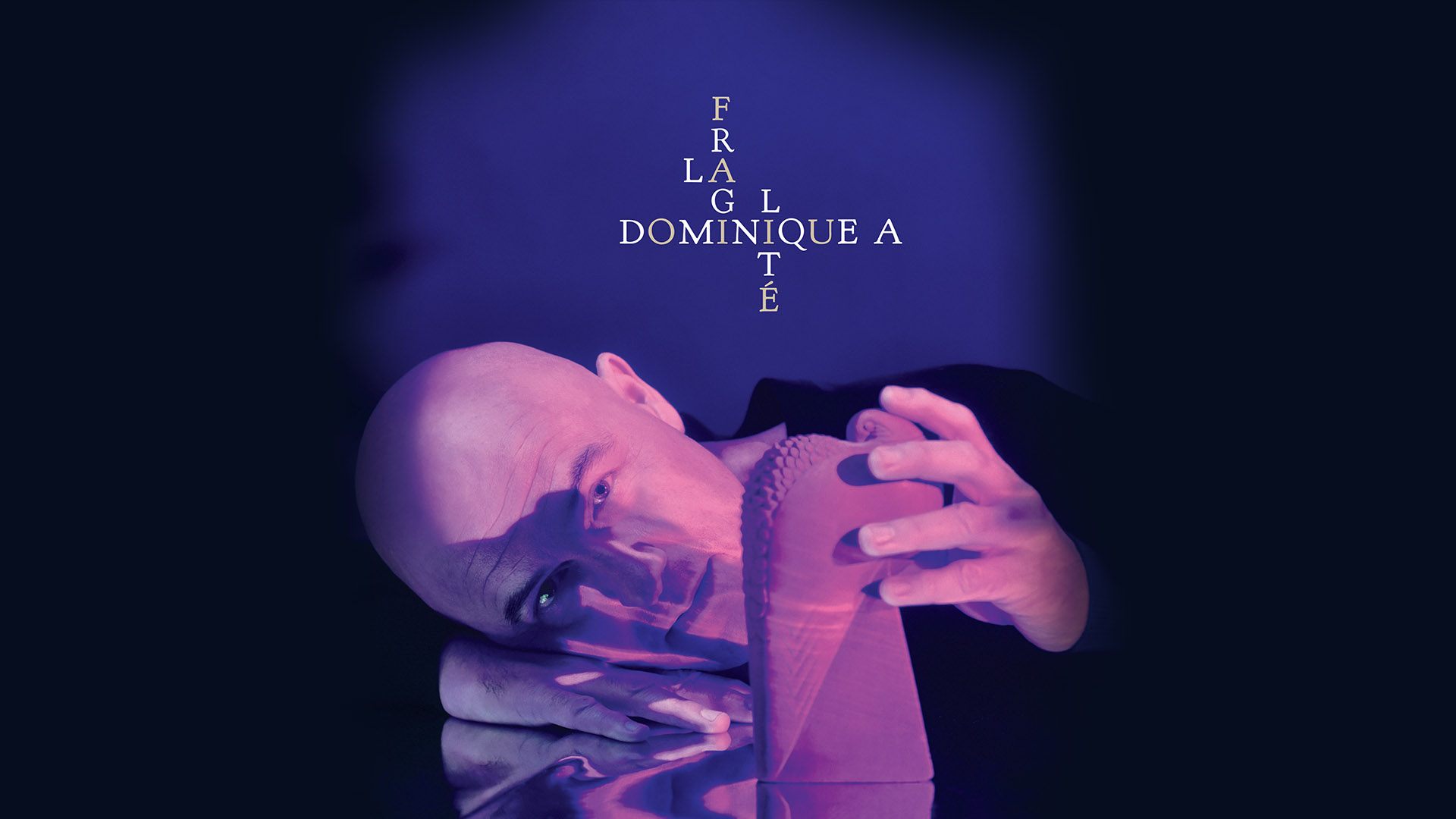 Dominique A - La Fragilité